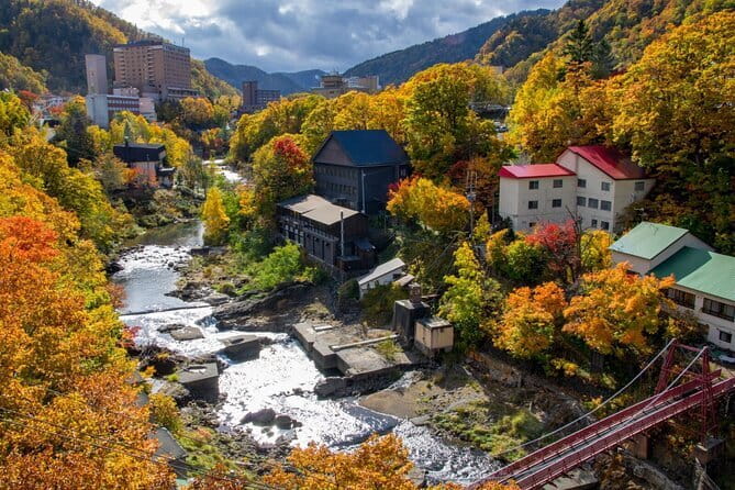 Hokkaido Asahiyama Zoo and Blue Pond Elf Terrace Day Trip - A warm drink and a taste of Furano