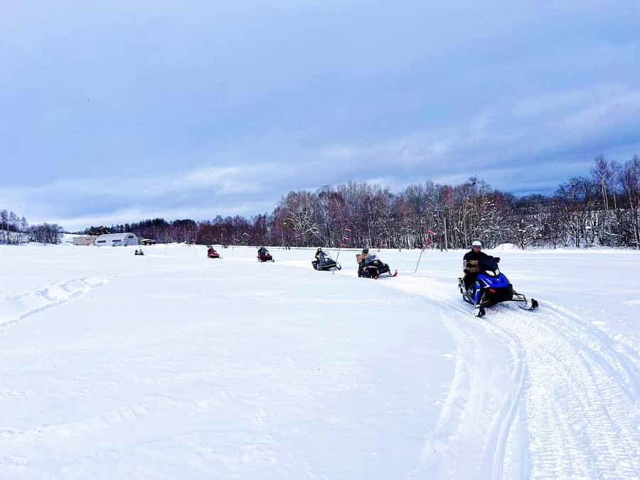 Hokkaido Asahiyama Zoo& Biei Blue pond Tour with Local Guide - Key points to know before booking