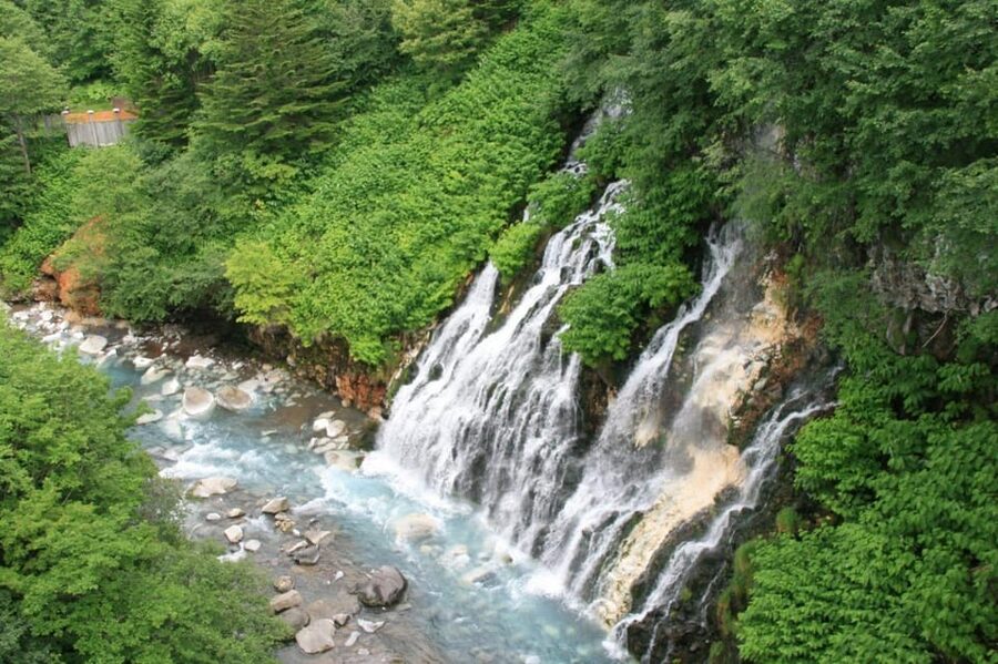 Hokkaido Asahiyama Zoo& Biei Blue pond Tour with Local Guide - Shirogane Blue Pond in the afternoon