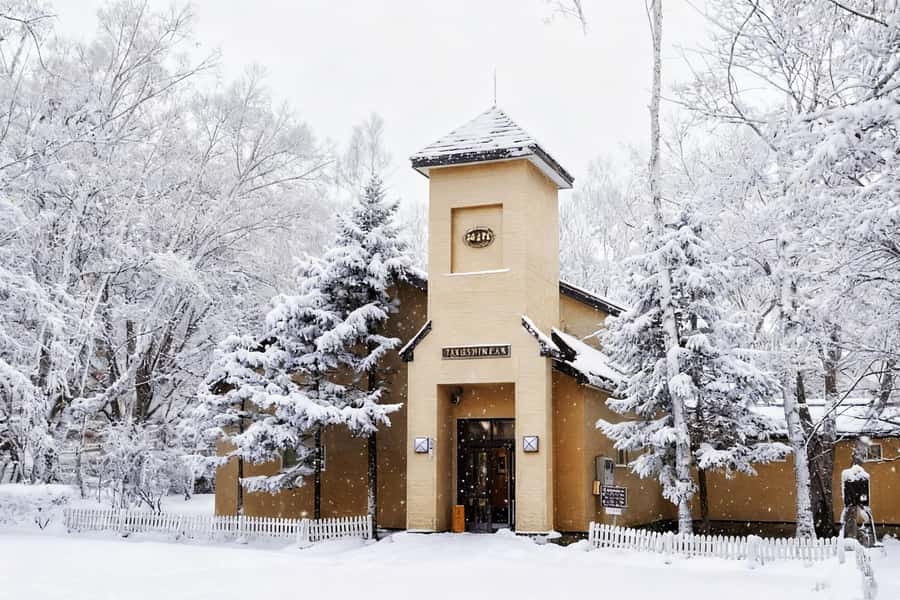 Hokkaido Asahiyama Zoo& Biei Blue pond Tour with Local Guide - Price, package choices, and practical value