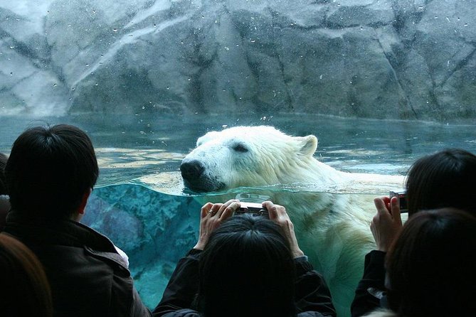 Hokkaido Asahiyama Zoo, Furano and Biei Bus Tour - The morning road to Asahiyama Zoo