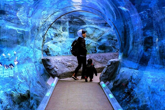 Hokkaido Asahiyama Zoo, Furano and Biei Bus Tour - Service-area breaks and food planning