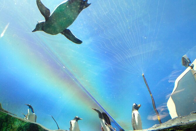 Hokkaido Asahiyama Zoo, Furano and Biei Bus Tour - Interpretation, language, and group style