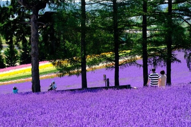 Hokkaido Asahiyama Zoo, Furano and Biei Bus Tour - Two hours at Asahiyama Zoo