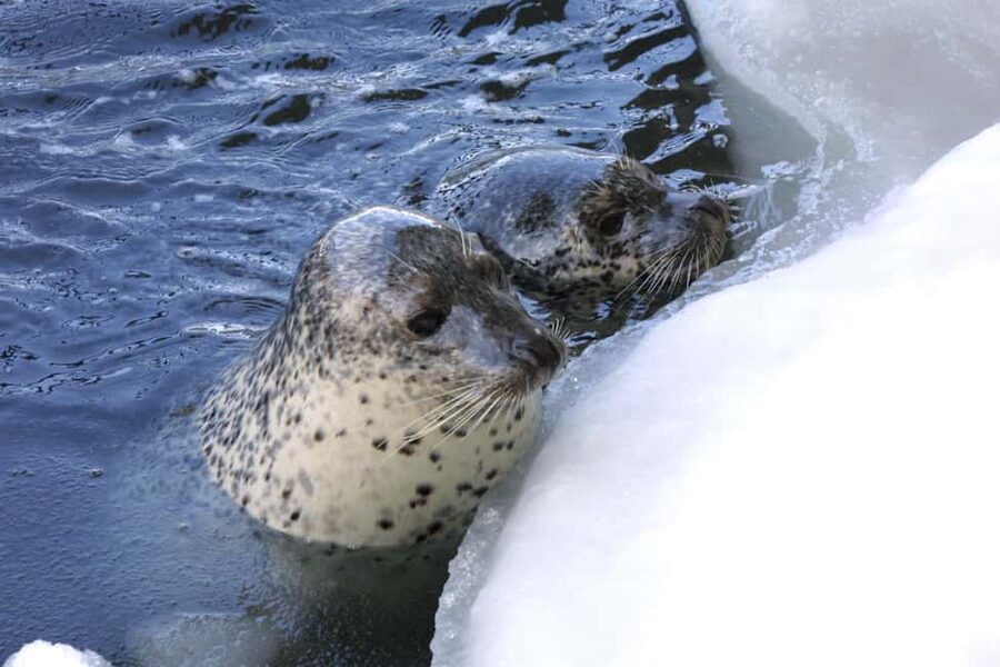 Hokkaido Asahiyama Zoo, Icebreaker GARINKO GO Sunset Tour - What the 161 dollar price includes