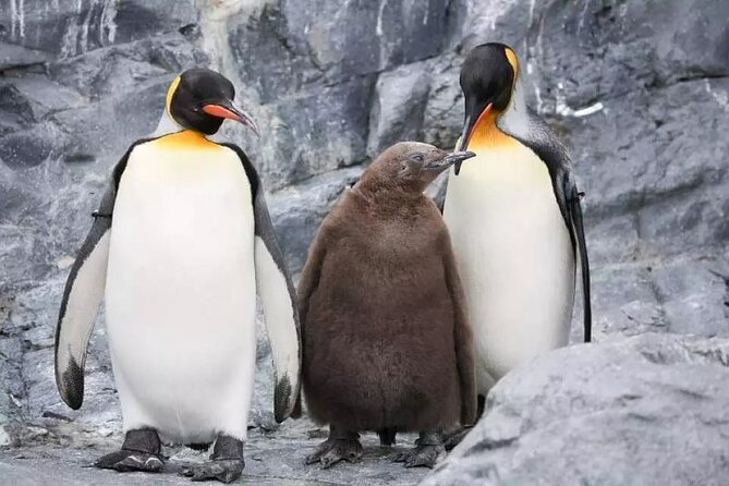 Hokkaido Day Tour from Sapporo: Asahiyama Zoo, Blue Pond Japan - The Iwamizawa rest stop