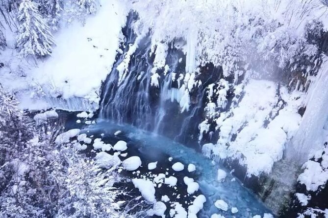 Hokkaido Day Tour from Sapporo: Asahiyama Zoo, Blue Pond Japan - How the guide and language service may affect your day