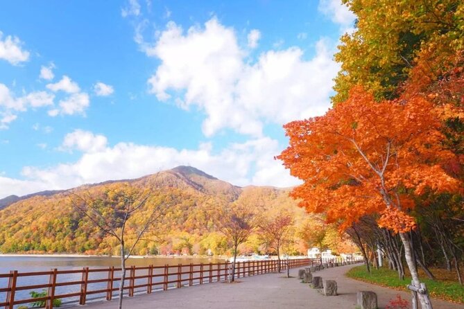 Hokkaido Day Tour from Sapporo: with Bear Park Option - Lake Shikotsu and the final stretch of the route