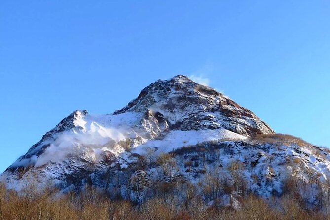Hokkaido Day Tour from Sapporo: with Bear Park Option - Is $113 a fair price?