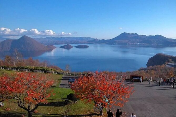 Hokkaido Day Tour from Sapporo: with Bear Park Option - Who should book this Hokkaido outing?
