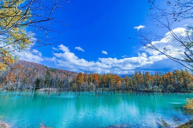 Hokkaido Day Trip From Sapporo: Asahiyama Zoo to Ningle Terrace - Two hours with Hokkaido’s northern animals