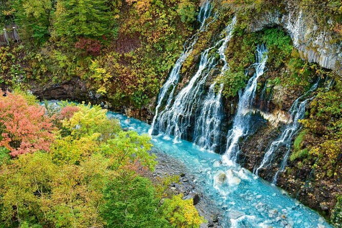 Hokkaido Day Trip From Sapporo: Asahiyama Zoo to Ningle Terrace - Biei Blue Pond and the rules of farm country