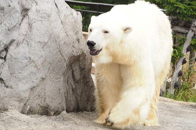 Hokkaido Highlights of Flower Blossom, Asahiyama Zoo& Blue pond「Aoi-ike」! - How good is the value at $87.76?