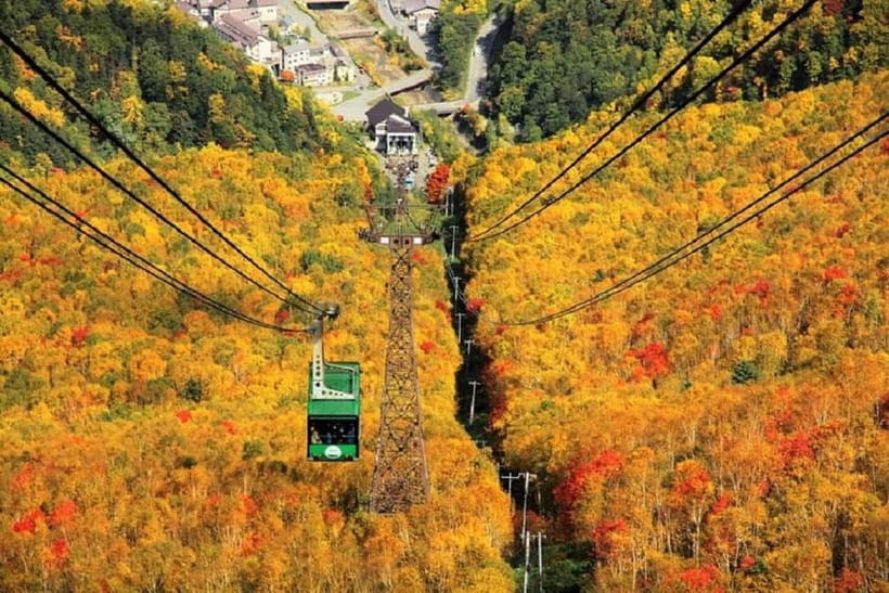 Hokkaido│Kurodake Ropeway, Asahiyama Zoo Autumn Leaves Tour - Why this makes sense during Hokkaido’s fall color season