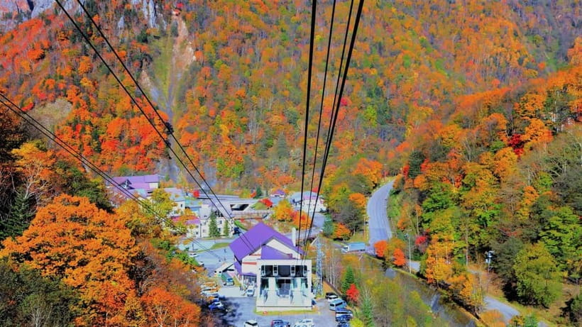 Hokkaido│Kurodake Ropeway, Asahiyama Zoo Autumn Leaves Tour - Kurodake Ropeway: autumn color from the gondola