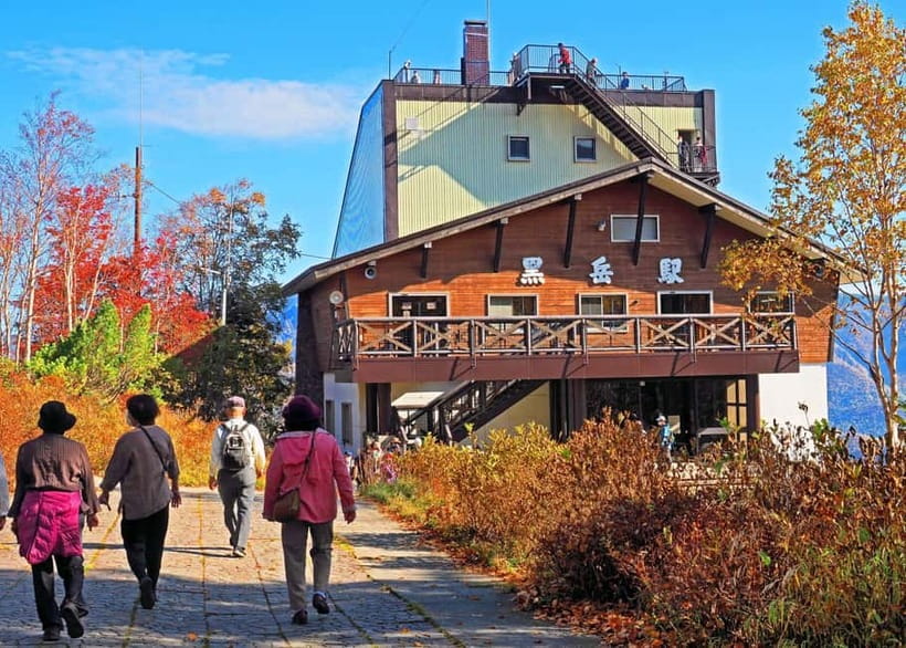 Hokkaido│Kurodake Ropeway, Asahiyama Zoo Autumn Leaves Tour - Asahiyama Zoo: polar bears, penguins, and a tight schedule