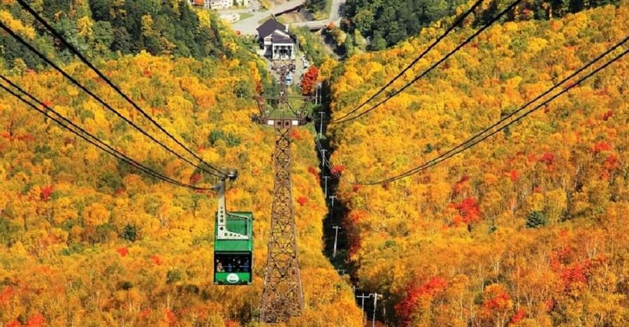 Hokkaido│Kurodake Ropeway, Asahiyama Zoo Autumn Leaves Tour - The early meeting at ANA Crowne Plaza Hotel Sapporo