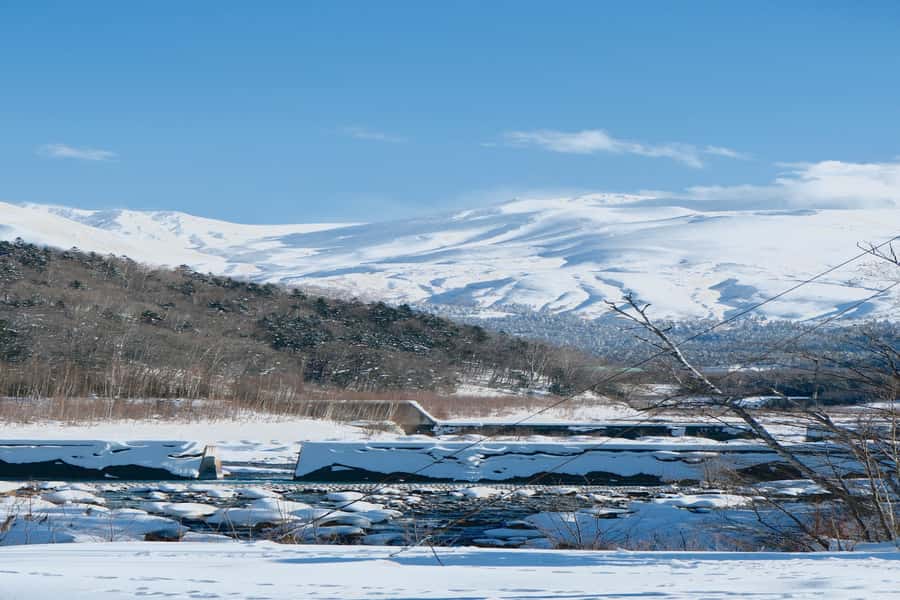 Hokkaido Lavender farm & Furano Flower Tour from Sapporo - Who should book this Hokkaido day trip?