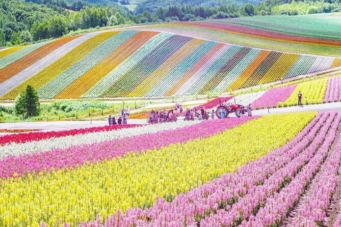Hokkaido Otaru Private Full Day Tour (Depart from Sapporo) - A private car from Sapporo, with a 10-hour limit