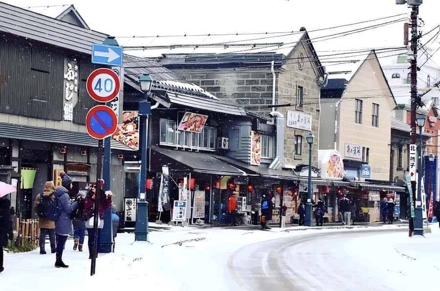 Hokkaido, Sappro, Otaru & Cape Kamui One-day Tour - Shiroi Koibito Park and Hokkaido’s sweet side