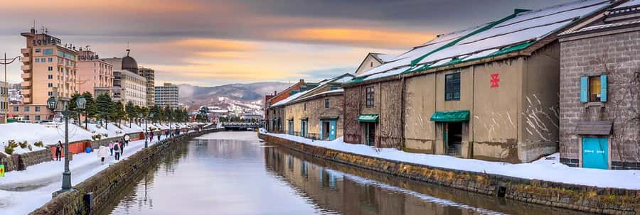 Hokkaido, Sappro, Otaru & Cape Kamui One-day Tour - The bus, group size, and guide style