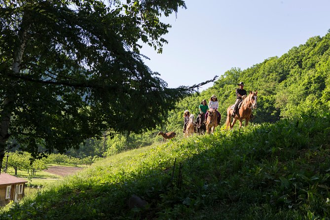 Horseback-Riding in a Country Side in Sapporo - Private Transfer is Included - Choosing between the 40-minute and one-hour ride