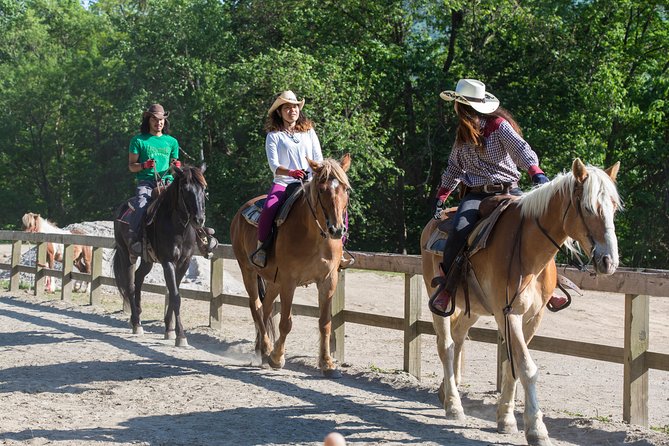 Horseback-Riding in a Country Side in Sapporo - Private Transfer is Included - What the private transfer adds to the price