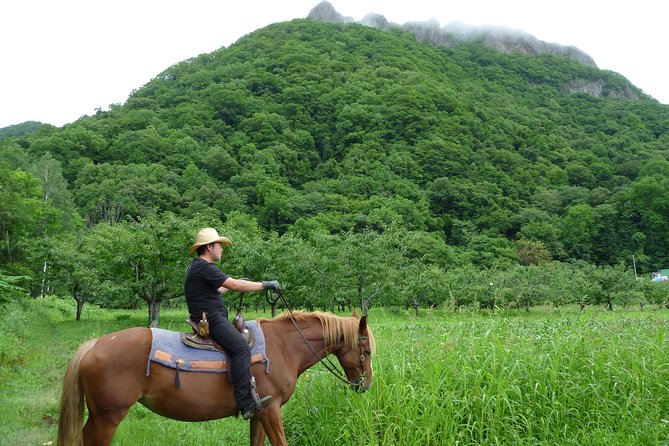 Horseback-Riding in a Country Side in Sapporo - Private Transfer is Included - Who will enjoy this Sapporo horseback ride