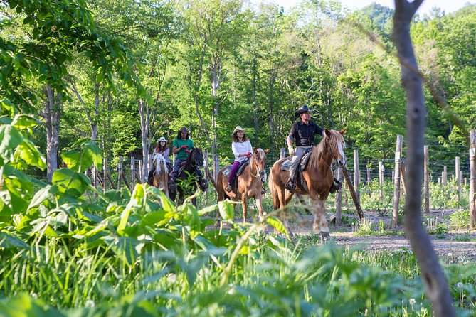 Horseback-Riding in a Country Side in Sapporo - Private Transfer is Included - Orchards, forest, and the eight-peak view