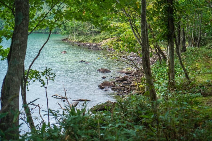 Lake Tachibana: Hike to a hidden lake! - Who should book this hike?