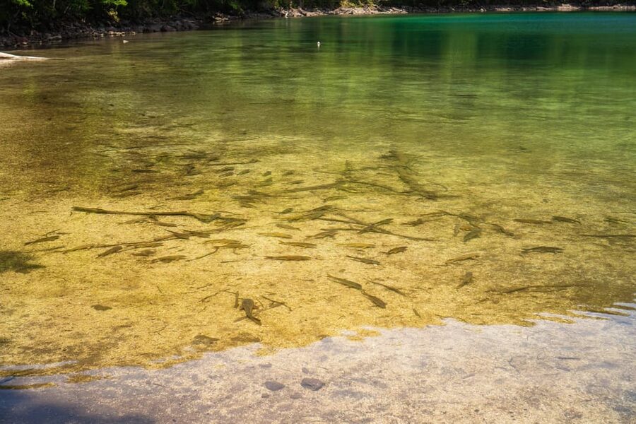 Lake Tachibana: Hike to a hidden lake! - Should you book Lake Tachibana?