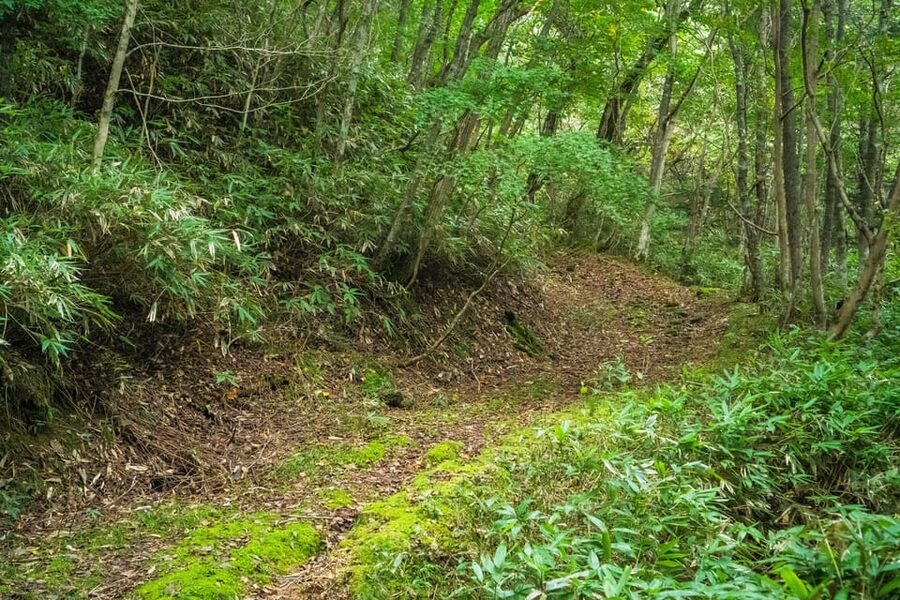 Lake Tachibana: Hike to a hidden lake! - From Karurusu Onsen into the forest