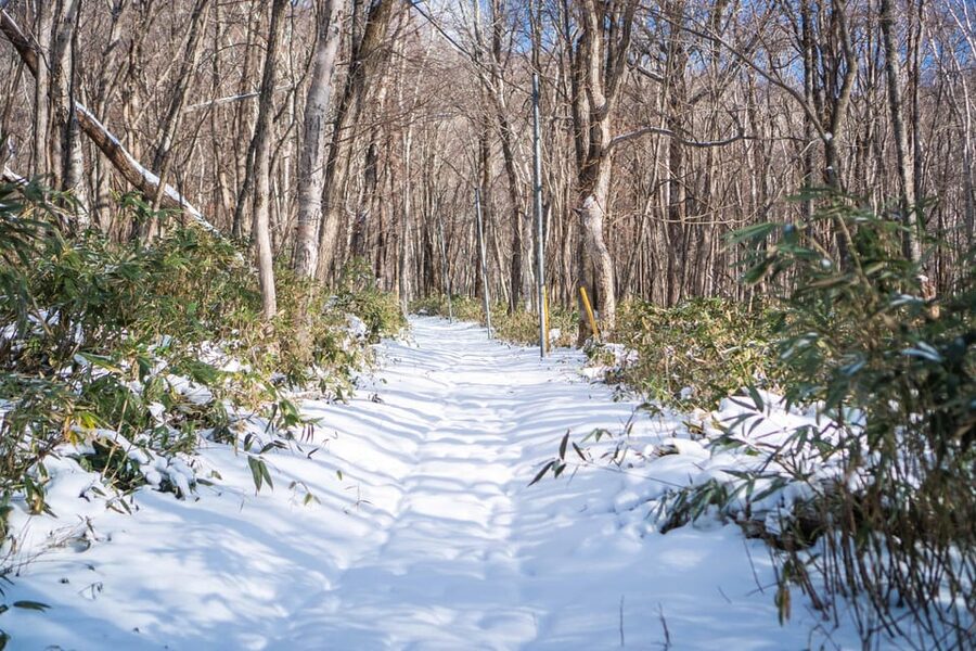 Lake Tachibana: Snowshoe to a frozen lake! - Who should book this outing