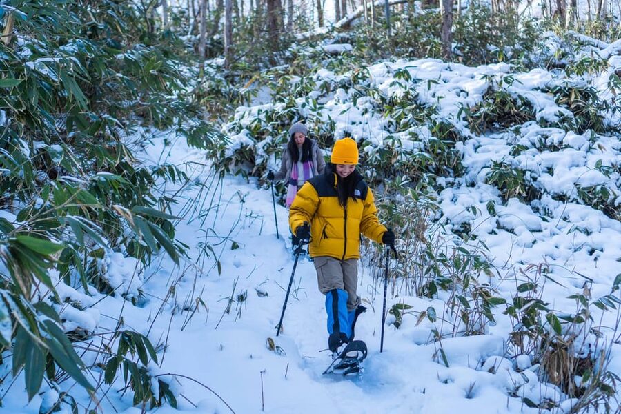 Lake Tachibana: Snowshoe to a frozen lake! - My practical verdict on the guide and group