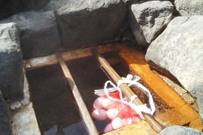 Mountain Bike Tour from Sapporo Including Hoheikyo Onsen and Lunch - What the $71.16 price really covers