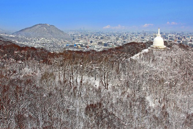 Mt. Moiwa Ropeway / Moriscar Ticket - When to book and how to plan the visit