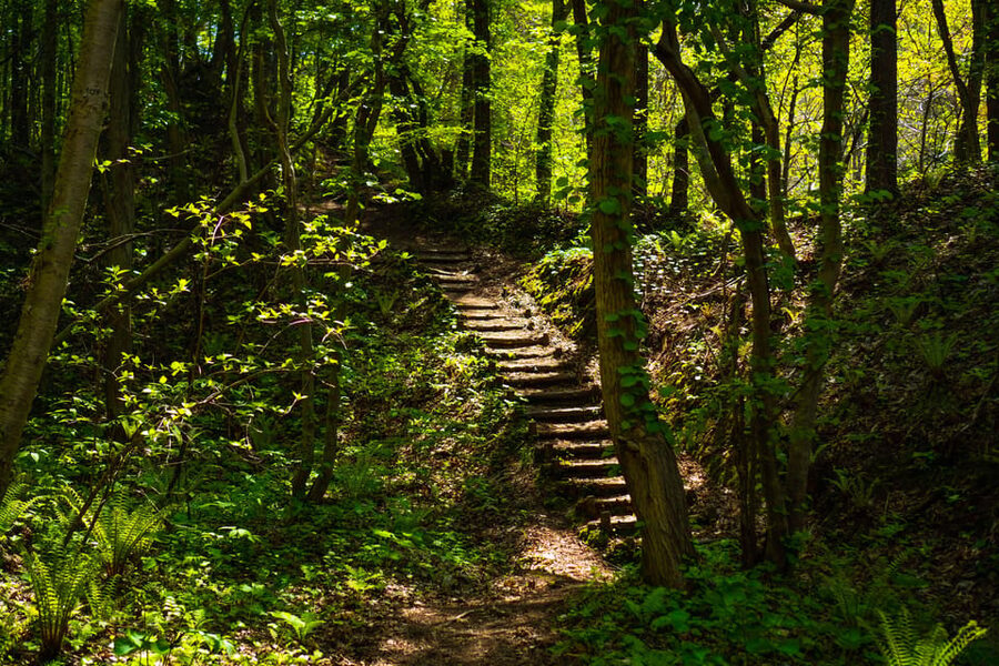 Mt. Usu: Hike to the crater and see the stunning Lake Toya! - Why the volcano story adds value