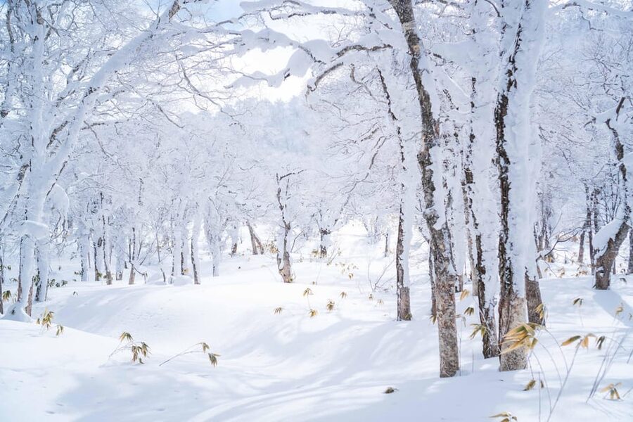 Noboribetsu: Orofure Pass Snowshoeing Tour - Key points to know before booking