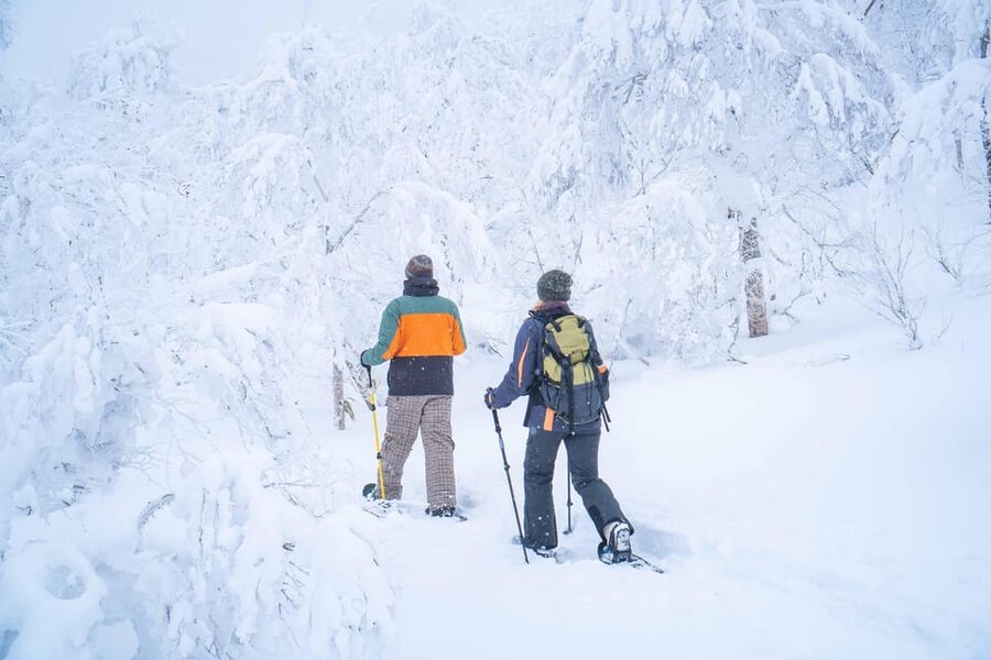 Noboribetsu: Orofure Pass Snowshoeing Tour - Why Orofure Pass makes a strong winter day out
