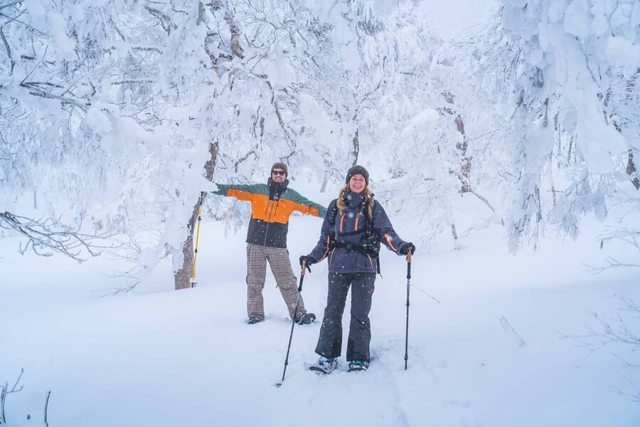 Noboribetsu: Orofure Pass Snowshoeing Tour - Learning to snowshoe through the forest