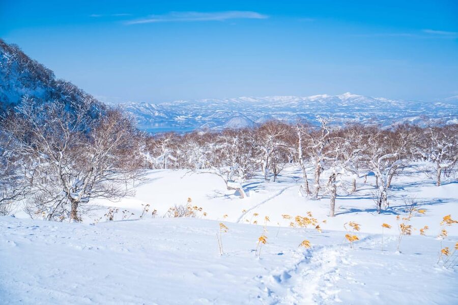 Noboribetsu: Orofure Pass Snowshoeing Tour - Meeting the snow monsters on the ridgeline
