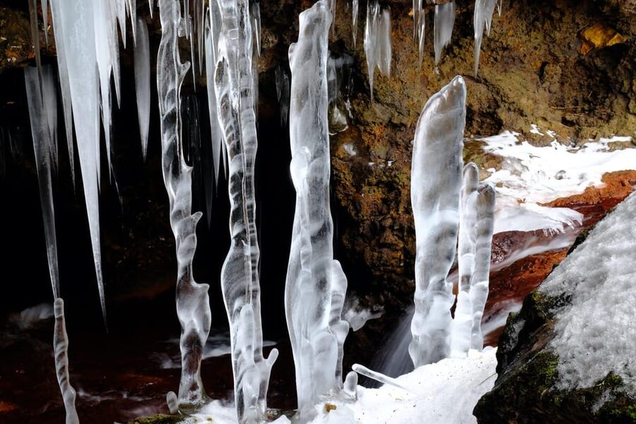Noboribetsu: Snowshoe trip to Ice Caves - Through fir and native forest