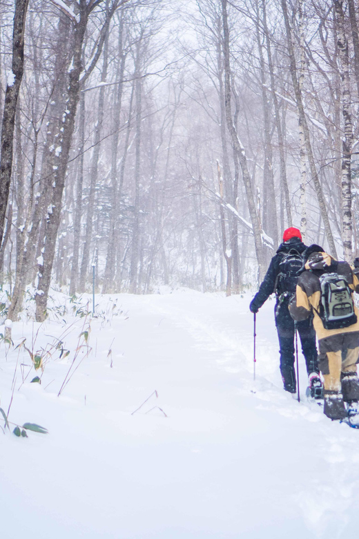 Noboribetsu: Snowshoe trip to Ice Caves - Reaching the Noboribetsu River ice cave