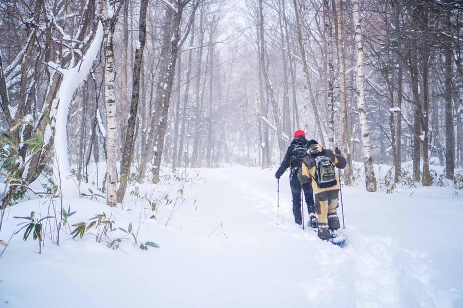 Noboribetsu: Snowshoe trip to Ice Caves - Who will enjoy this snowshoe trip?