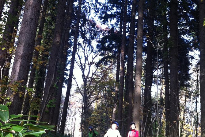 Nopporo Forest Mountain Bike Tour from Sapporo, presenting a retro Cycle cap - The forest loop and its gentle climbs