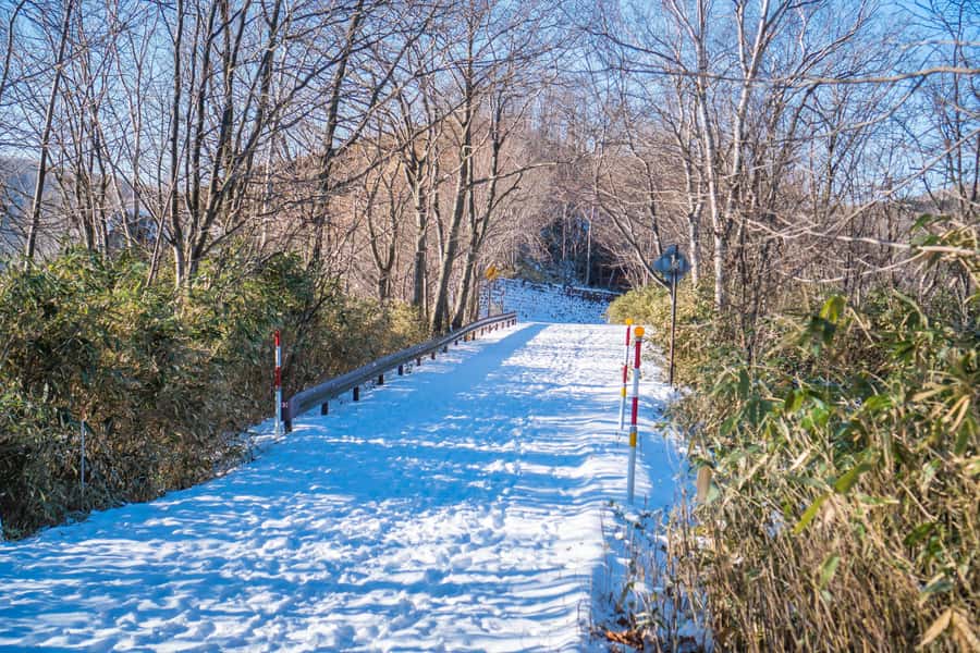 Oyunuma Hot Spring Pond Winter Panorama Tour - Timing, group size, and cancellation flexibility