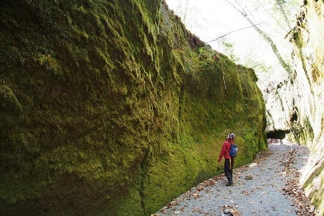 Private Day Trip of Lake Shikotsu and Moss Canyon - The 15-minute visitor center stop adds useful context