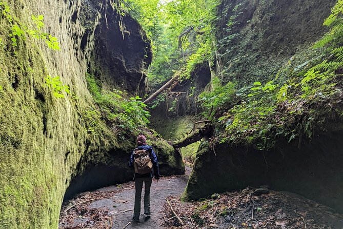 Private Day Trip of Lake Shikotsu and Moss Canyon - A private minivan changes the feel of the day
