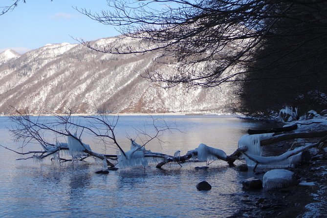Private Day Trip of Lake Shikotsu and Moss Canyon - Guides turn a simple walk into a nature lesson