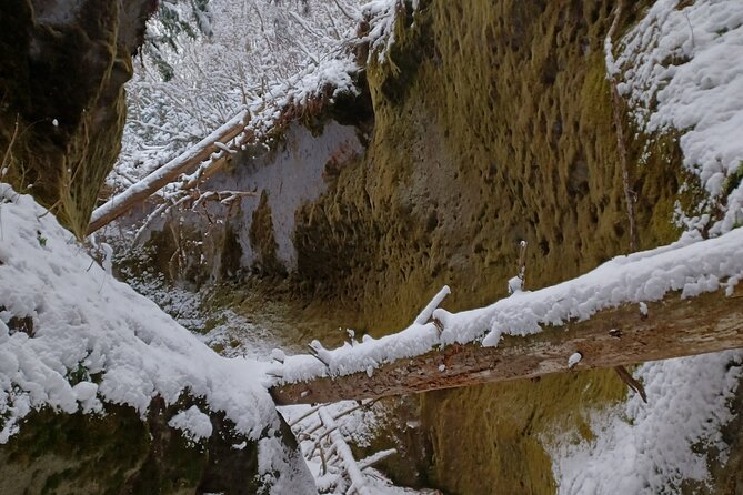 Private Day Trip of Lake Shikotsu and Moss Canyon - Weather and timing deserve attention
